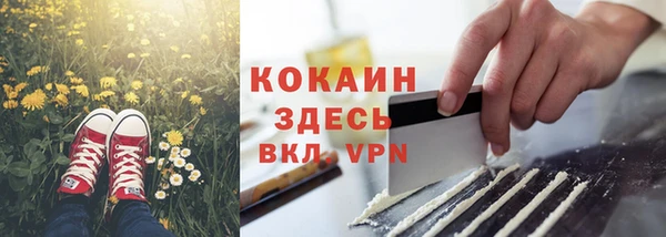 винт Пересвет