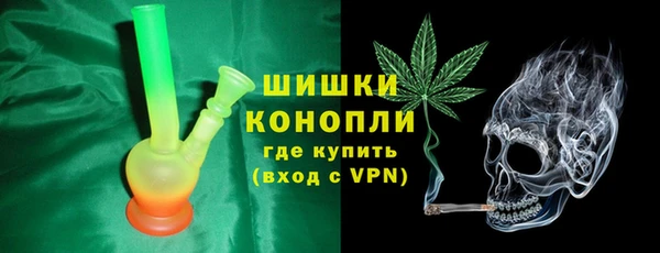 мдпв Верея