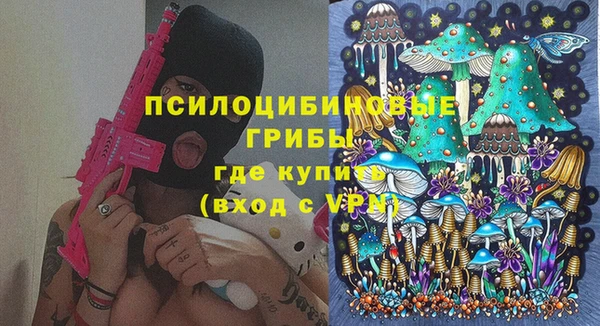 мдпв Верея