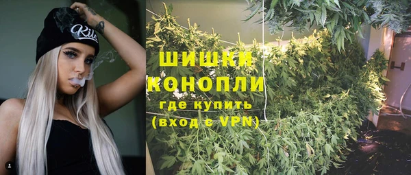 винт Пересвет
